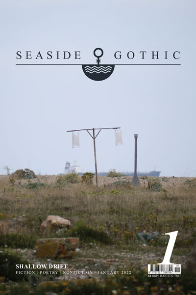 Seaside Gothic Issue 1