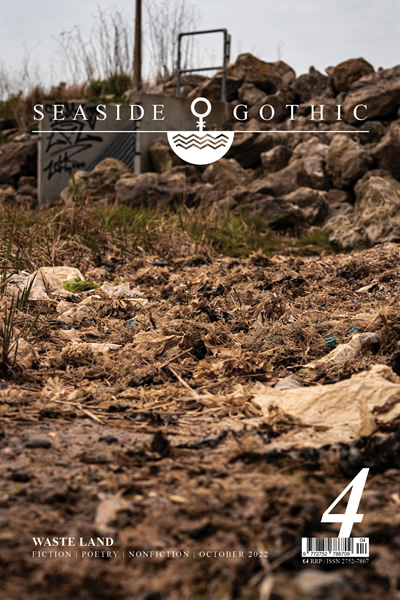 Seaside Gothic Issue 4
