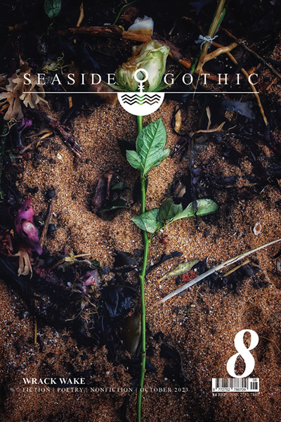 Seaside Gothic Issue 8